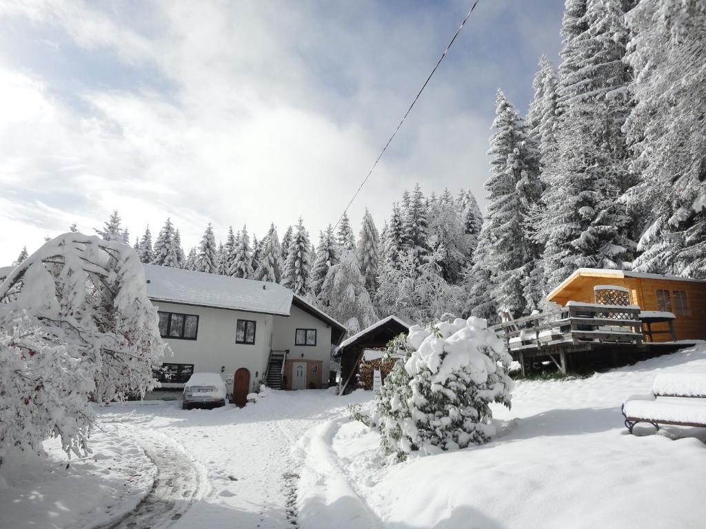 Verditz Ferienhaus Hollinger 아파트 외부 사진